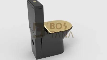 Modern Design Washdown Bathroom Sanitaryware Wc Matte Black One