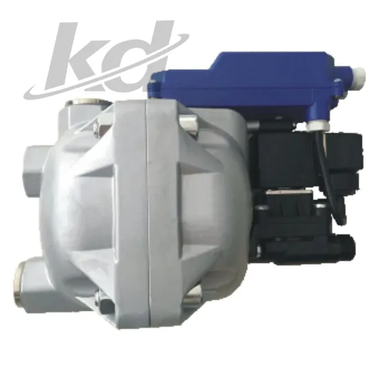 Air Compressor Parts Manufacturers Wholesale Ingersoll Rand Sullail Atlas Automatic Drainer Wbk